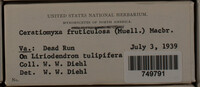 Image Associated With the Occurence